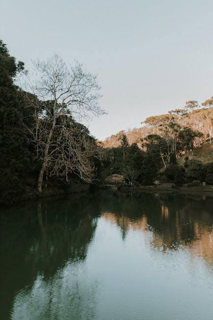 A lake surrounded by trees and grass